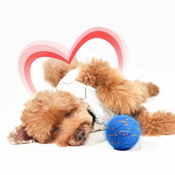 Інтерактивний м'яч для собак Cheerble Wicked Ball Air Neo (CWQ09B), блакитний CWQ09B фото
