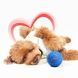 Інтерактивний м'яч для собак Cheerble Wicked Ball Air Neo (CWQ09B), блакитний CWQ09B фото 3
