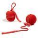 Інтерактивний м'яч для котів Cheerble Wicked Ball Duo2 (CWJ04), червоний CWJ04R фото 11