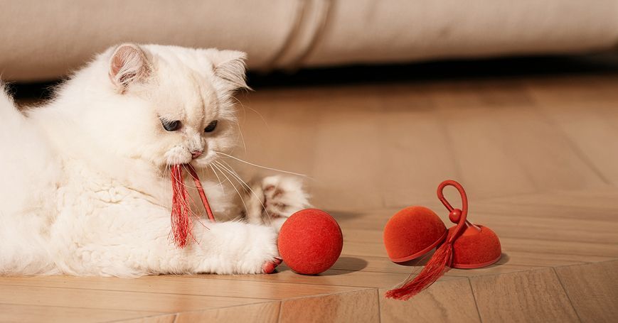 Інтерактивний м'яч для котів Cheerble Wicked Ball Duo2 (CWJ04), червоний CWJ04R фото