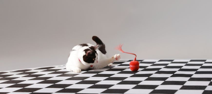 Інтерактивний м'яч для котів Cheerble Wicked Ball Duo2 (CWJ04), блакитний  CWJ04B фото