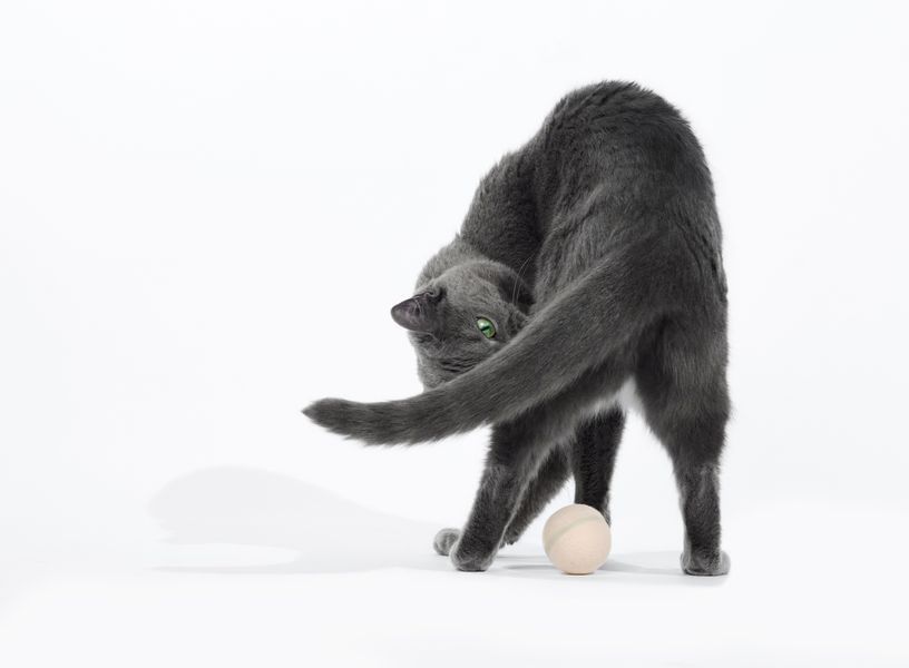 Інтерактивний м'яч для котів Cheerble Wicked Ball M3 (CWQ02), бежевий CWQ02A фото