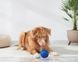 Інтерактивний м'яч для собак Cheerble Wicked Ball Air (CWQ01), блакитний CWQ01B фото 20