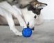 Інтерактивний м'яч для собак Cheerble Wicked Ball Air (CWQ01), блакитний CWQ01B фото 4