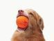 Інтерактивний м'яч для собак Cheerble Wicked Ball Air (CWQ01), помаранчевий CWQ01O фото 3