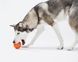 Інтерактивний м'яч для собак Cheerble Wicked Ball Air (CWQ01), помаранчевий CWQ01O фото 11