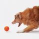 Інтерактивний м'яч для собак Cheerble Wicked Ball Air (CWQ01), помаранчевий CWQ01O фото 5